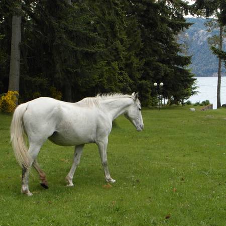 Actividades en Villa Trafull